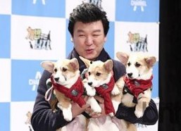 狗狗娱乐节目,狗狗娱乐节目精彩瞬间大盘点