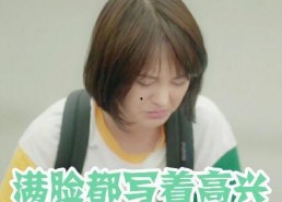 郑爽表情包夏至未至