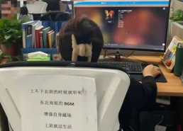 以前网红叫什么雨