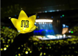 明星演唱会应援色