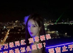 宸荨樱桃个人资料,璀璨星河中的樱桃女神，闪耀青春风采