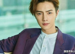 官鸿 个人资料,多才多艺的影视新星，从偶像到演员的蜕变之路